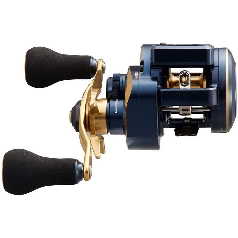 ダイワ(DAIWA) 21 ソルティガIC 100P-DH 釣り