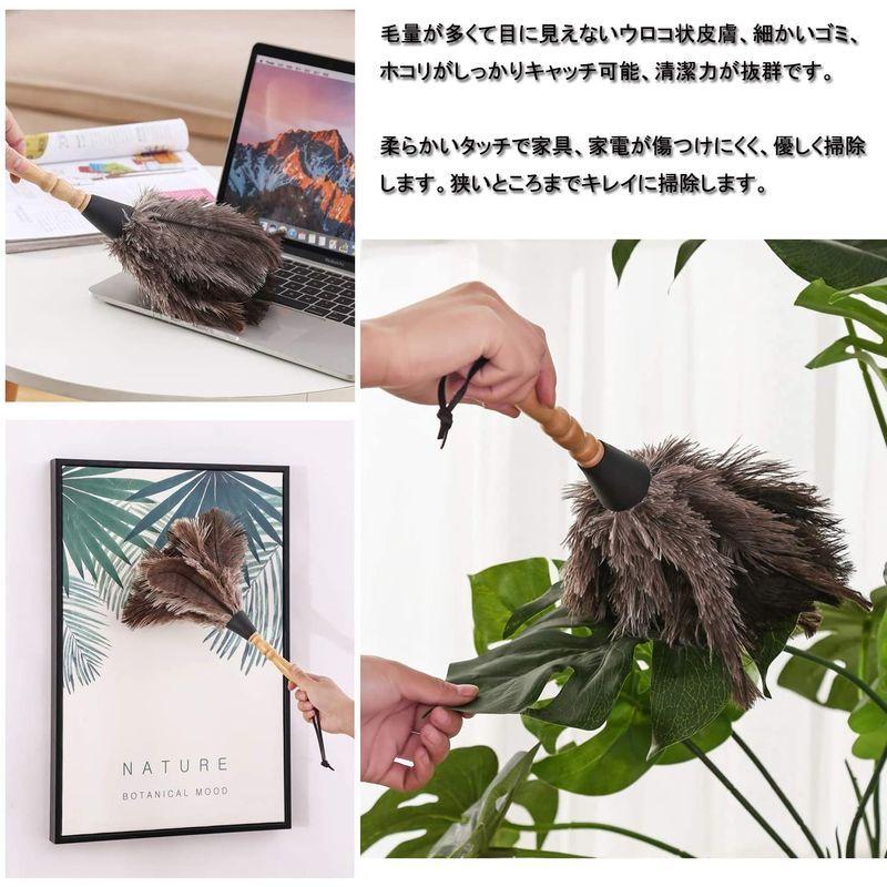 市場 Linodes ほこり取り ダチョウの毛 車用 部屋掃除 はたき 家庭用 掃除道具