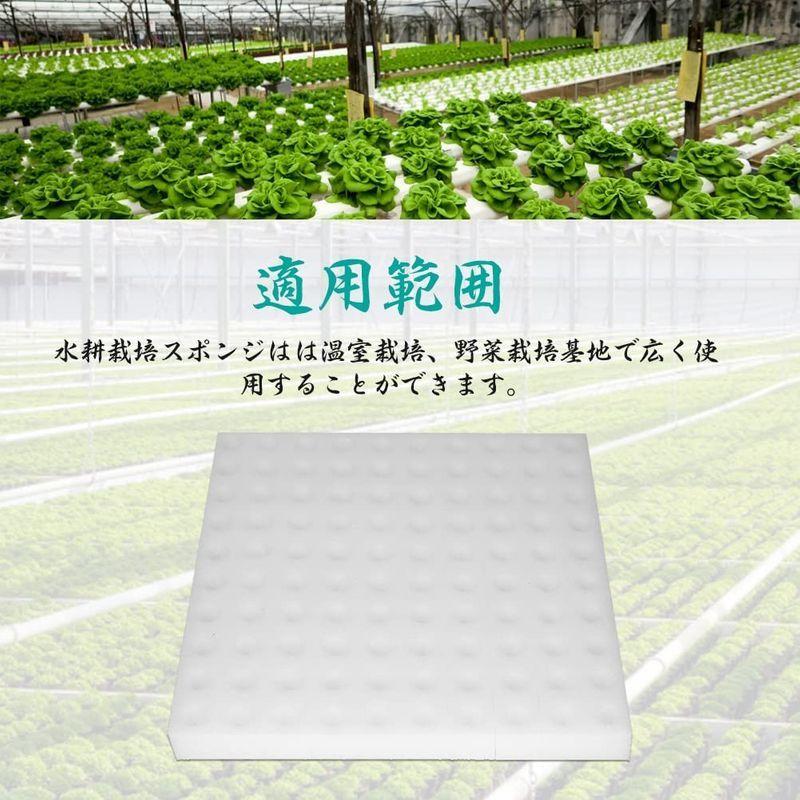 Xuuyuu 水耕栽培スポンジ 水耕栽培 葉菜用培地 スポンジ 土壌なし 種子植物 植物 保育園 植え スポンジ 除草ツール 家庭 室内 菜 沖海ストア 通販 Yahoo ショッピング