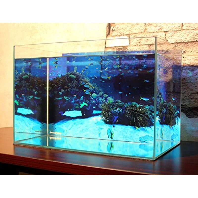Aquagraphix 水槽バックスクリーン Ag 002 海底 45cm用 沖海ストア 通販 Yahoo ショッピング