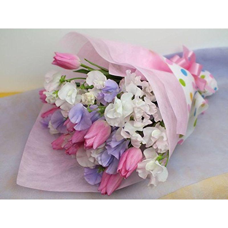 チューリップ スイートピー Mサイズ 花束 プレゼントhanasaku 花束 切花 Bollywoodpapa Com