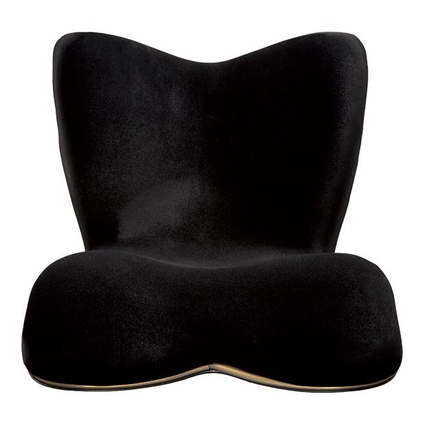 Style PREMIUM DX ボディメイクシート スタイル プレミアムDX 正規品  