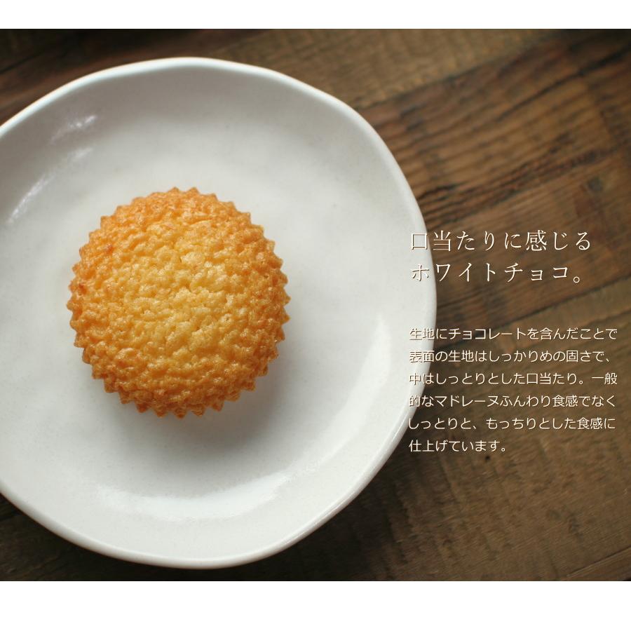 （未使用品あり）焼菓子型11点まとめ売り　マドレーヌ　フィナンシェ　レモンケーキ マドレーヌ レモンショコラマドレーヌ 6個 スイーツ ケーキ 焼き菓子