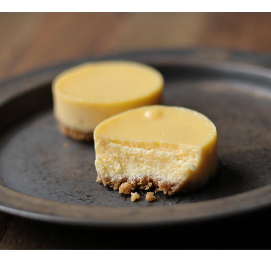 チーズケーキ まったりチーズ・プレーン 5個 ニューヨークチーズケーキ