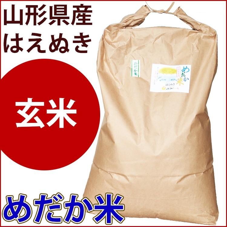 玄米　20kg　山形県産はえぬき　めだか米｜okome-beikokuya