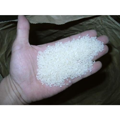 20kg（5kg×4袋）令和７年産新米 ミルキークイーン 白米または分搗き米 分搗き米 対応 農家直送 農家産直 ミルキークイーン_1