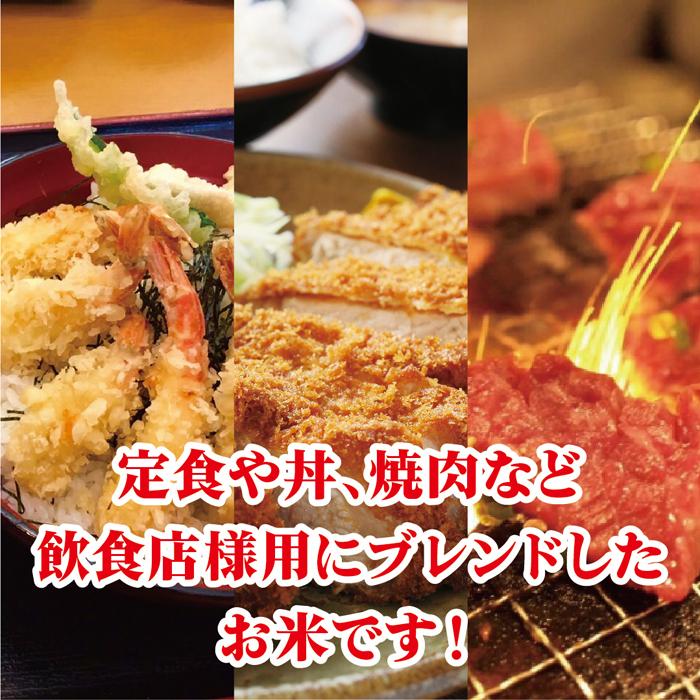米 10kg 送料無料 白米 無洗米 5kg×2 令和六年産 国内産 米 10kg 送料無料 白米 無洗米 5kg×2 令和六年産 国内産
