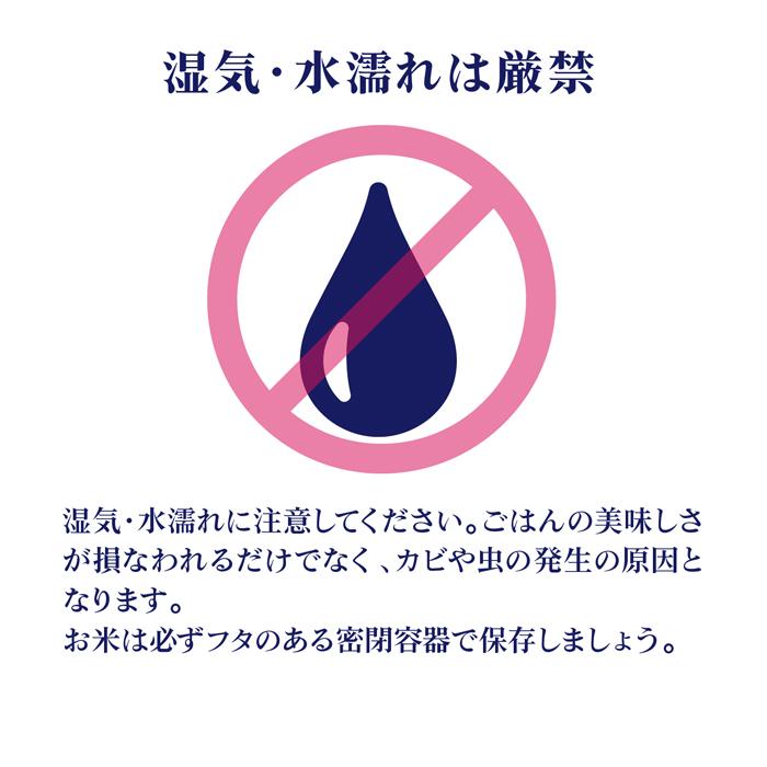 楽天市場】無洗米 10kg 5kg×2袋の通販