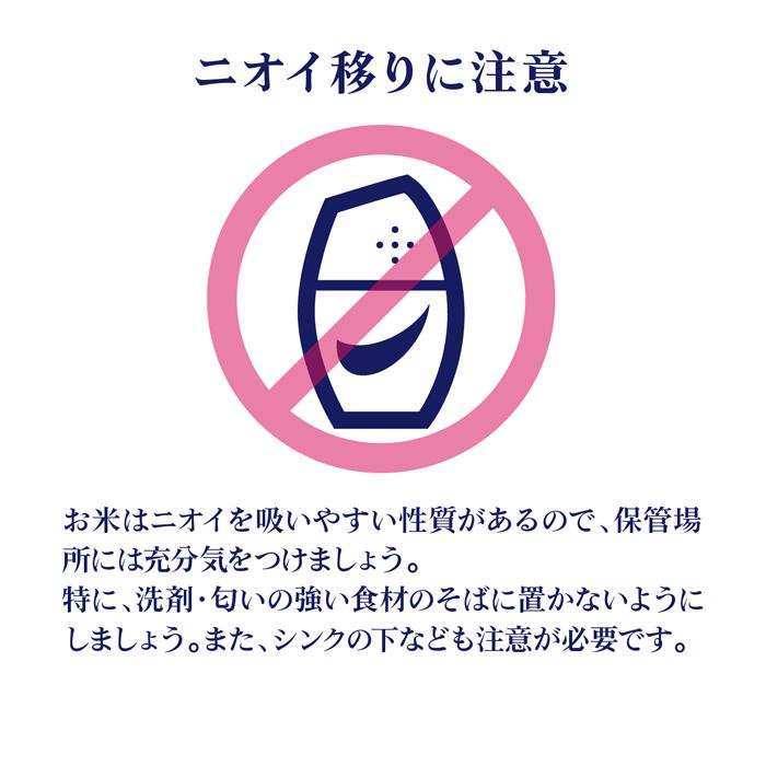 米 10kg 送料無料 白米 無洗米 5kg×2 令和六年産 国内産 米 10kg 送料無料 白米 無洗米 5kg×2 令和六年産 国内産