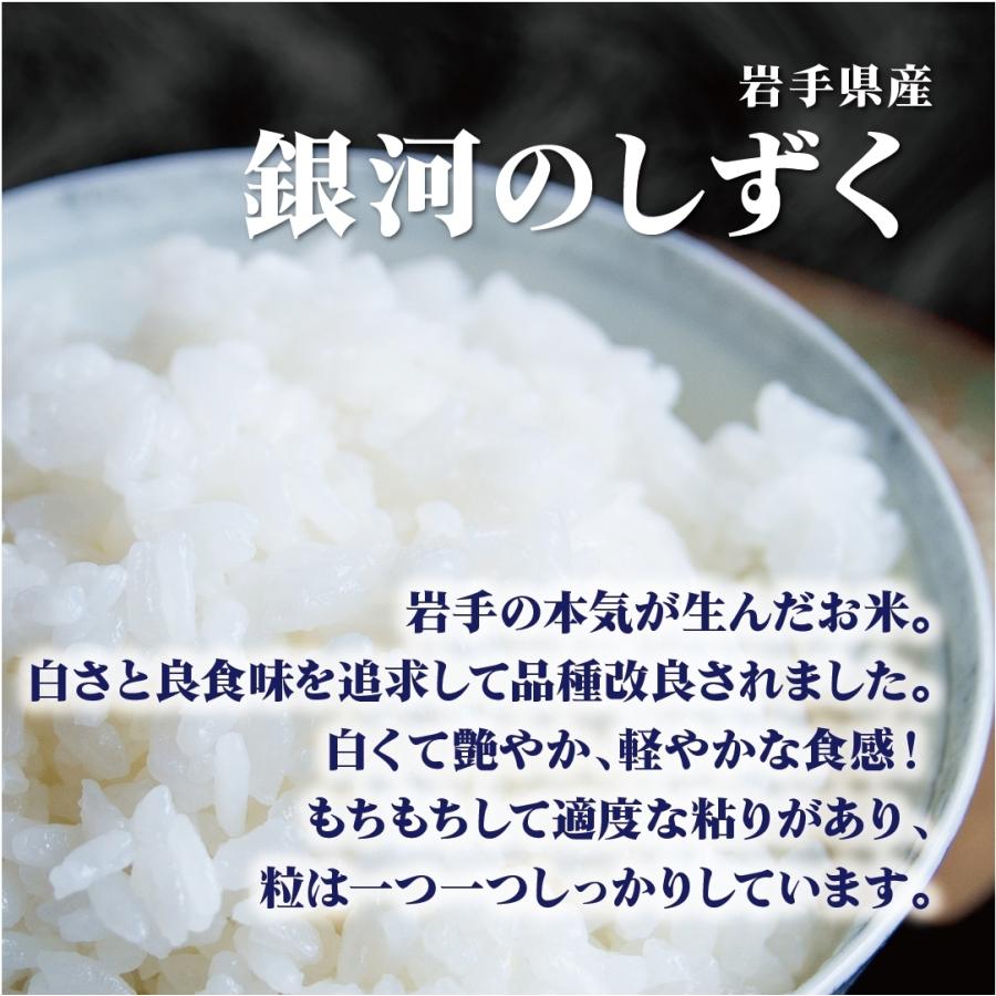 令和六年産】 岩手県産 銀河のしずく 10kg (5kg×2袋) 【選べる
