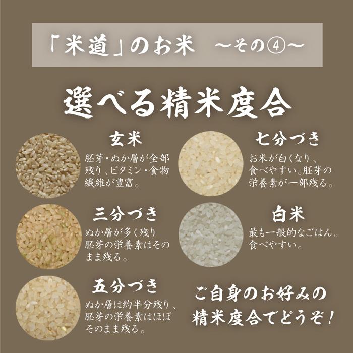 令和七年産】 岩手県産 銀河のしずく 10kg (5kg×2袋) 【選べる精米