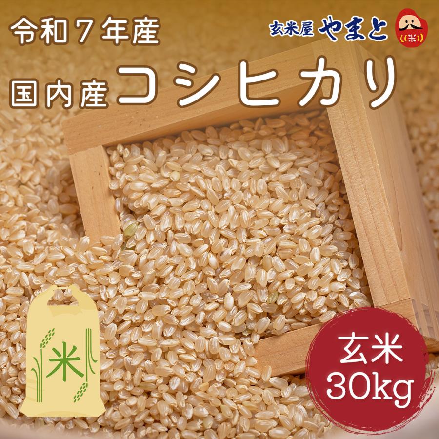 コシヒカリ 玄米 一等 30kg 令和7年産 国内(千葉県)産 : 玄米屋やまと