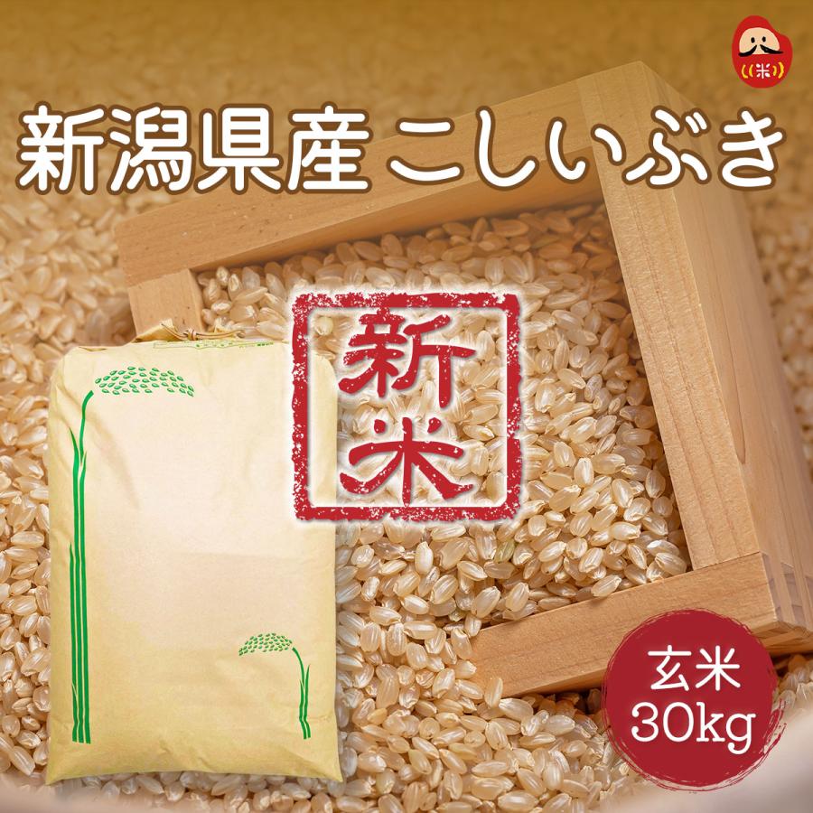 玄米 一等 30kg 令和7年産 国内産お買い得玄米（新潟こしいぶき 