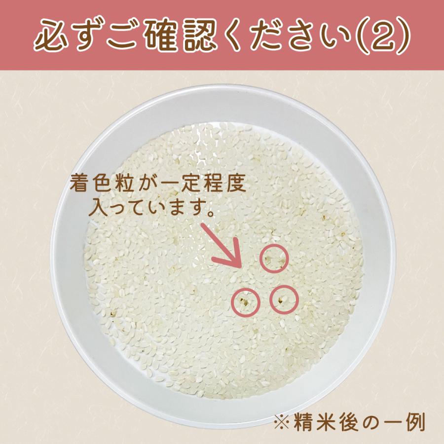 お買い得玄米 令和7年産 国産うるち玄米 規格外 30kg : 玄米屋やまと