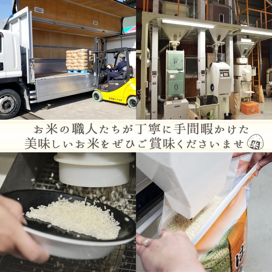 令和5年 米 つや姫 20kg (無洗米/白米/玄米) 山形県産 5kg×4 送料無料 (一部地域除く)｜okomeabe｜14