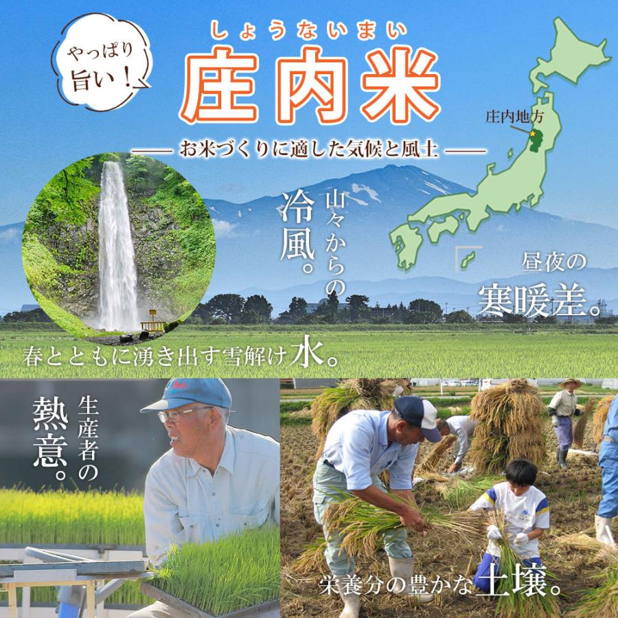 令和5年 米 つや姫 20kg (無洗米/白米/玄米) 山形県産 5kg×4 送料無料 (一部地域除く)｜okomeabe｜11