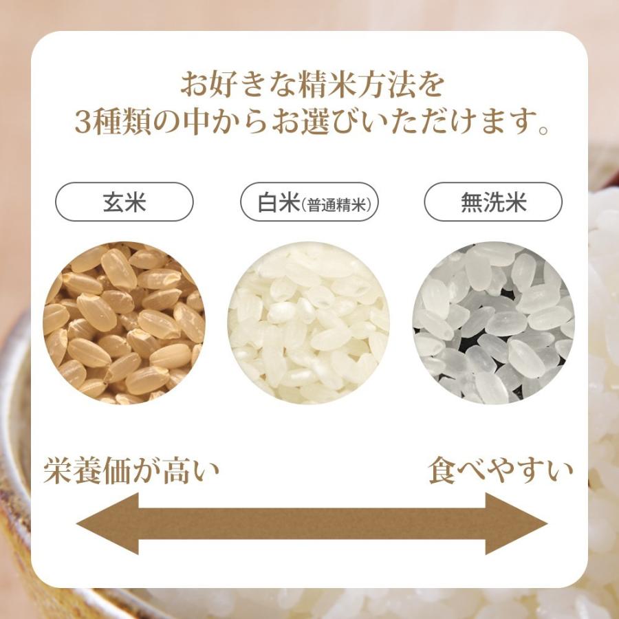 コシヒカリ 令和6年 10kg(5kg×2袋) 山形県産 お米 (玄米・白米 コシヒカリ 令和6年 10kg(5kg×2袋) 山形県産 お米 (玄米・白米