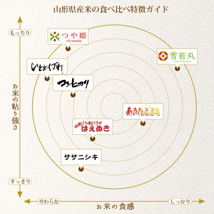 コシヒカリ 令和6年 10kg(5kg×2袋) 山形県産 お米 (玄米・白米 コシヒカリ 令和6年 10kg(5kg×2袋) 山形県産 お米 (玄米・白米