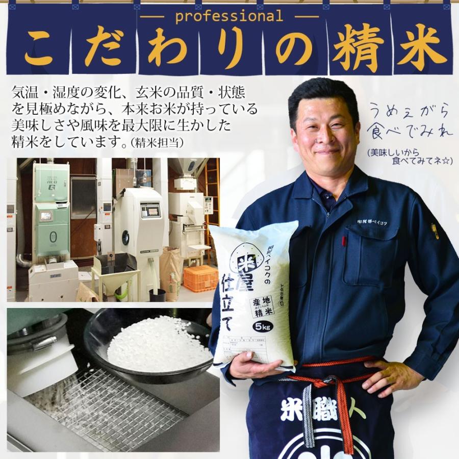 令和5年 お米 10kg (無洗米/白米/玄米) 山形県産 ひとめぼれ (5kg×2袋)｜okomeabe｜08