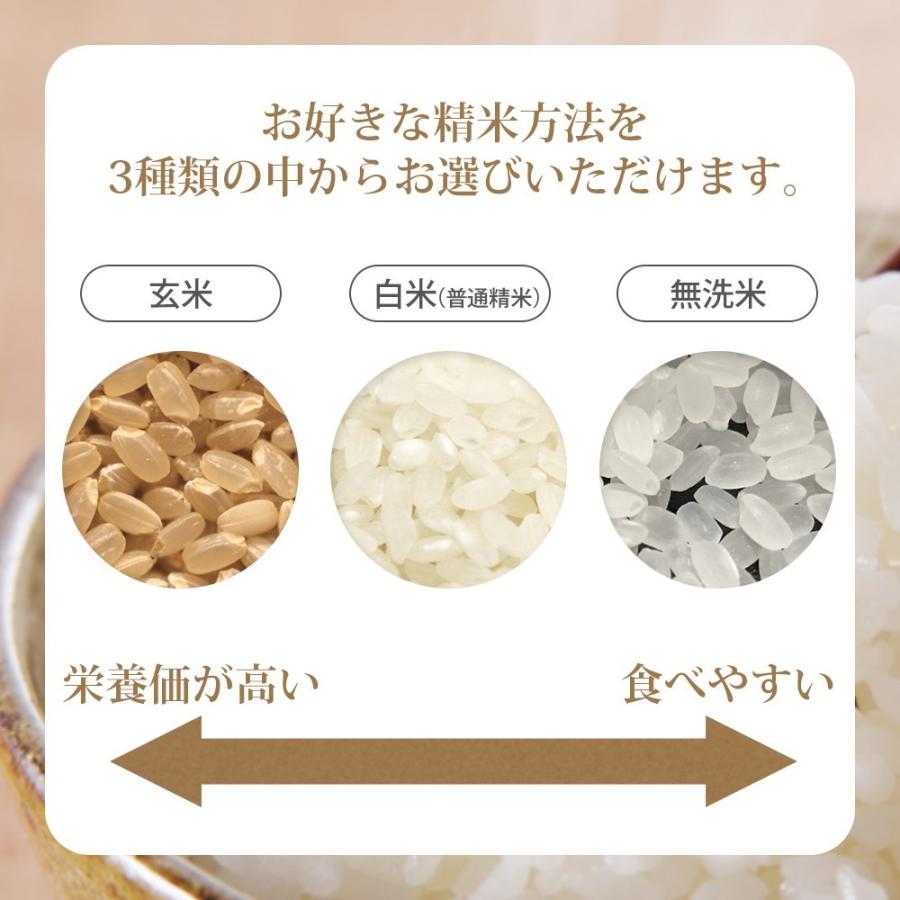 令和5年 お米 10kg (無洗米/白米/玄米) 山形県産 ひとめぼれ (5kg×2袋)｜okomeabe｜09