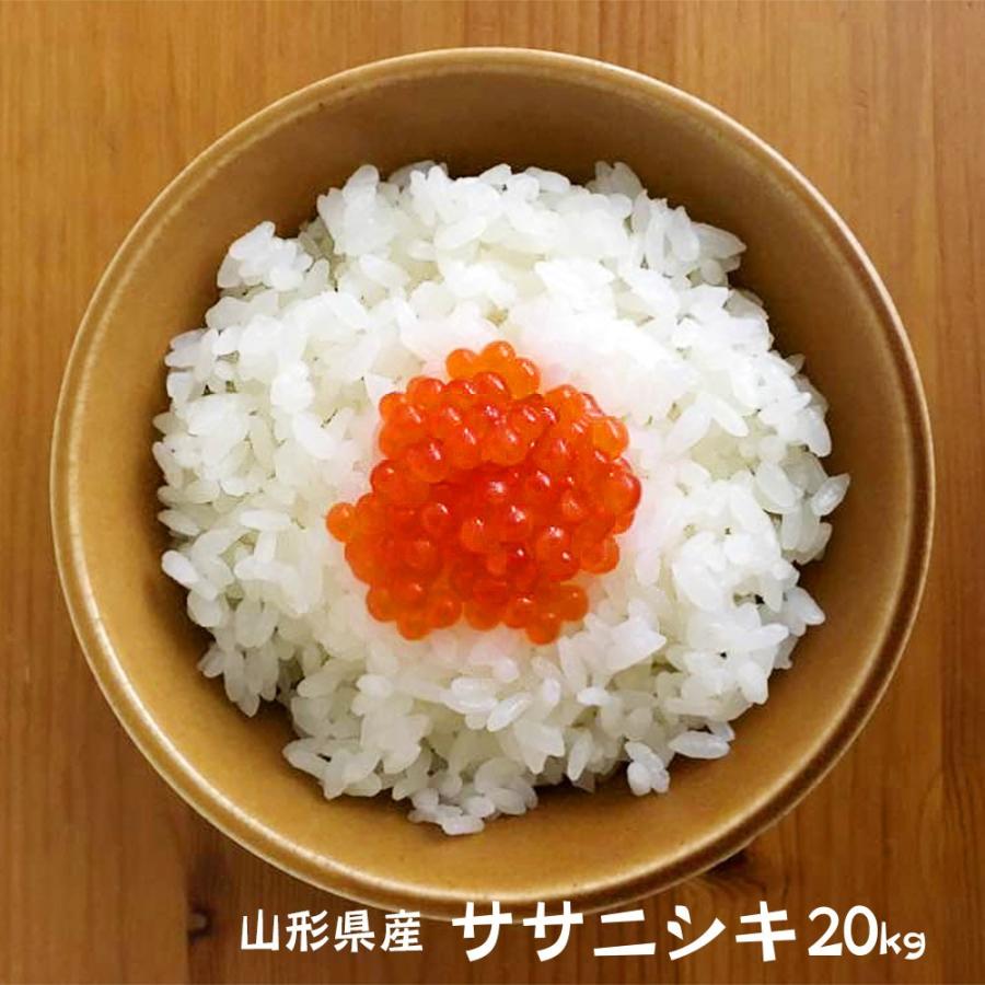 ササニシキ　玄米20kg 山形　令和7年　特別栽培米 ササニシキ 令和7年 山形県産 20kg (5kgX4袋) (玄米・白米・無洗米
