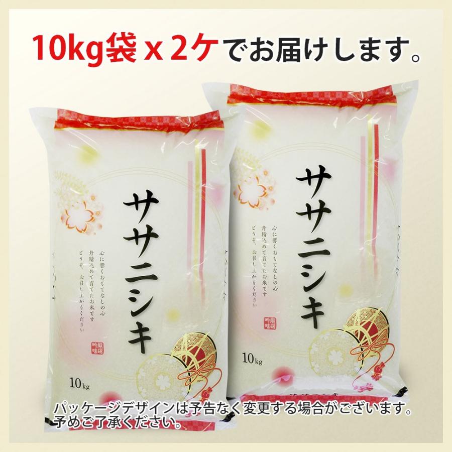 ササニシキ 令和7年 山形県産 20kg (5kgX4袋) (玄米・白米・無洗米
