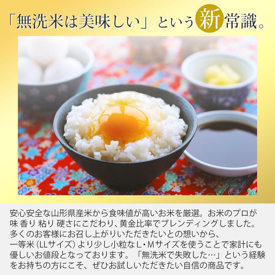 最大61%OFFクーポン 無洗米 10kg 5kg×2袋 こつぶ姫 国内産 オリジナルブレンド米 kogler.at