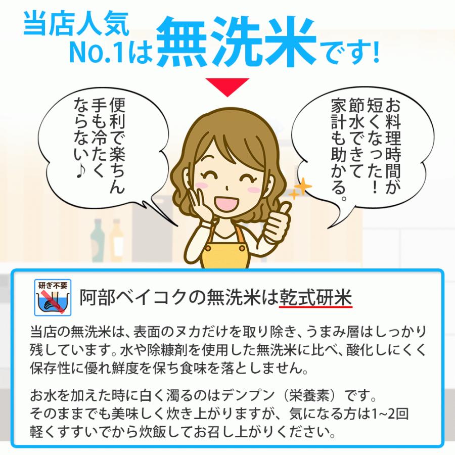 無洗米 10kg はえぬき 山形県産 5kg×2袋 令和5年 米 : hae-10k-musen