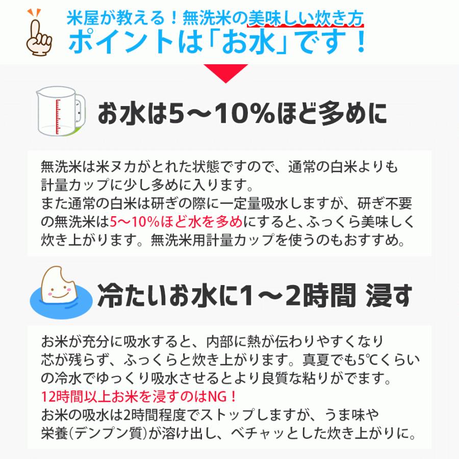 はえぬき 令和7年 無洗米 10kg 山形県産 5kg×2袋 米 : 阿部ベイコク