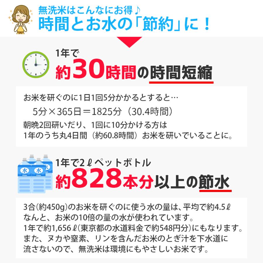 はえぬき 令和7年 お米 2kg (無洗米/白米/玄米) 山形県産 : 阿部