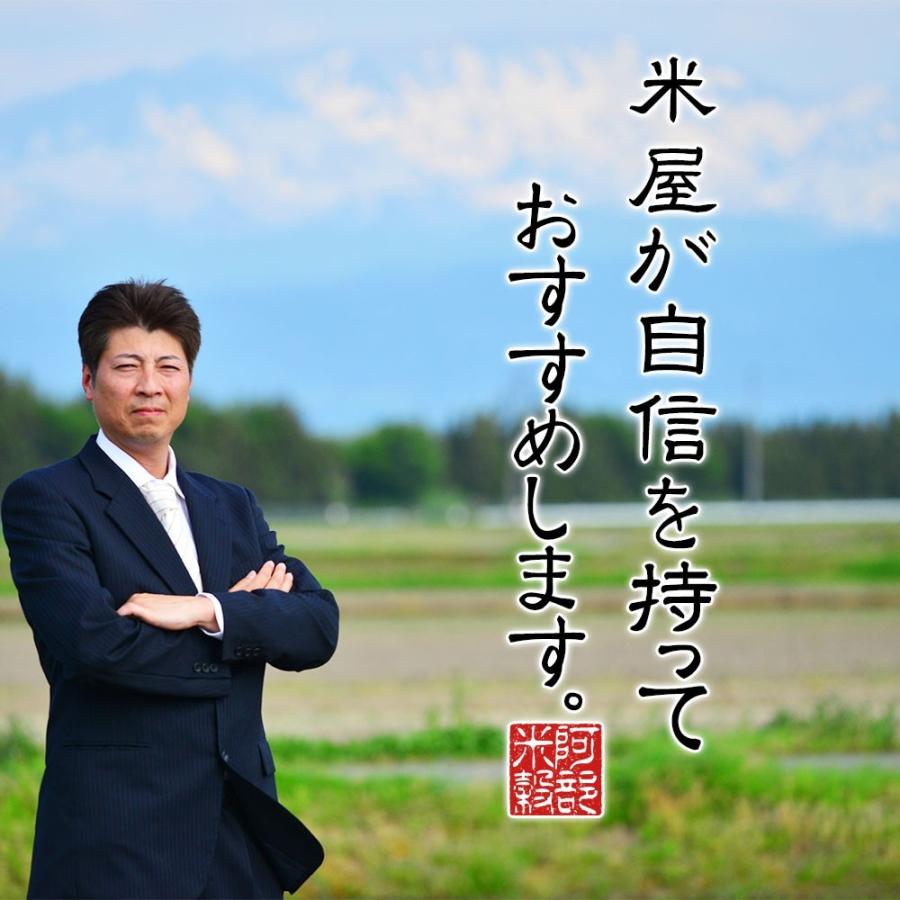 ヒメノモチ 令和7年産 もち米 30kg (5kg×6袋) 送料無料 国内産 餅米