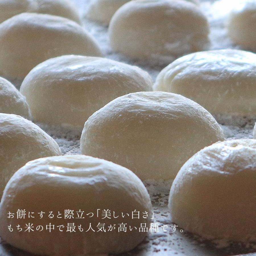ヒメノモチ 令和7年産 もち米 30kg (5kg×6袋) 送料無料 国内産 餅米