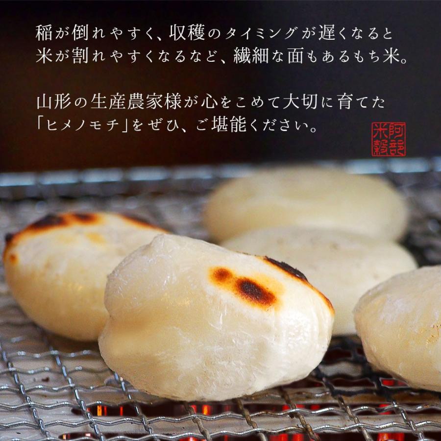 ヒメノモチ 令和7年産 もち米 5kg 送料無料 国内産 餅米 山形県産