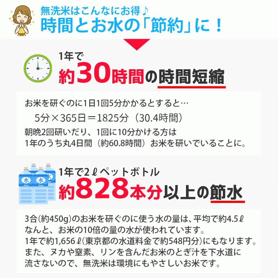 無洗米 5kg (5kg×1袋) こつぶ姫 国内産 オリジナルブレンド米｜okomeabe｜05