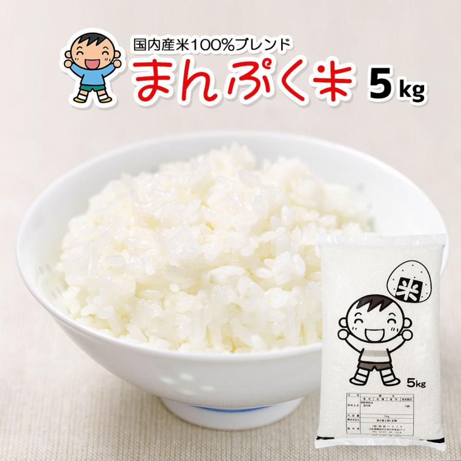 国産ブレンド無洗米 5kg×4袋
