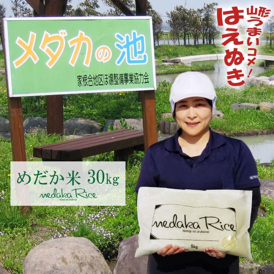女の子向けプレゼント集結 5kg 6袋 30kg メダカが泳ぐキレイな田んぼで育ったお米 絶滅危惧種メダカのビオトープで育った安心安全なお米 めだか米 はえぬき 山形県産 玄米 白米 無洗米 精米方法選べます 米 ごはん