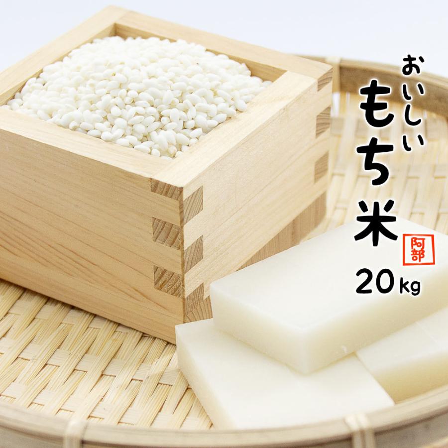 もち米 20kg (5kg×4袋) 送料無料 国内産 餅米 (別途送料加算地域