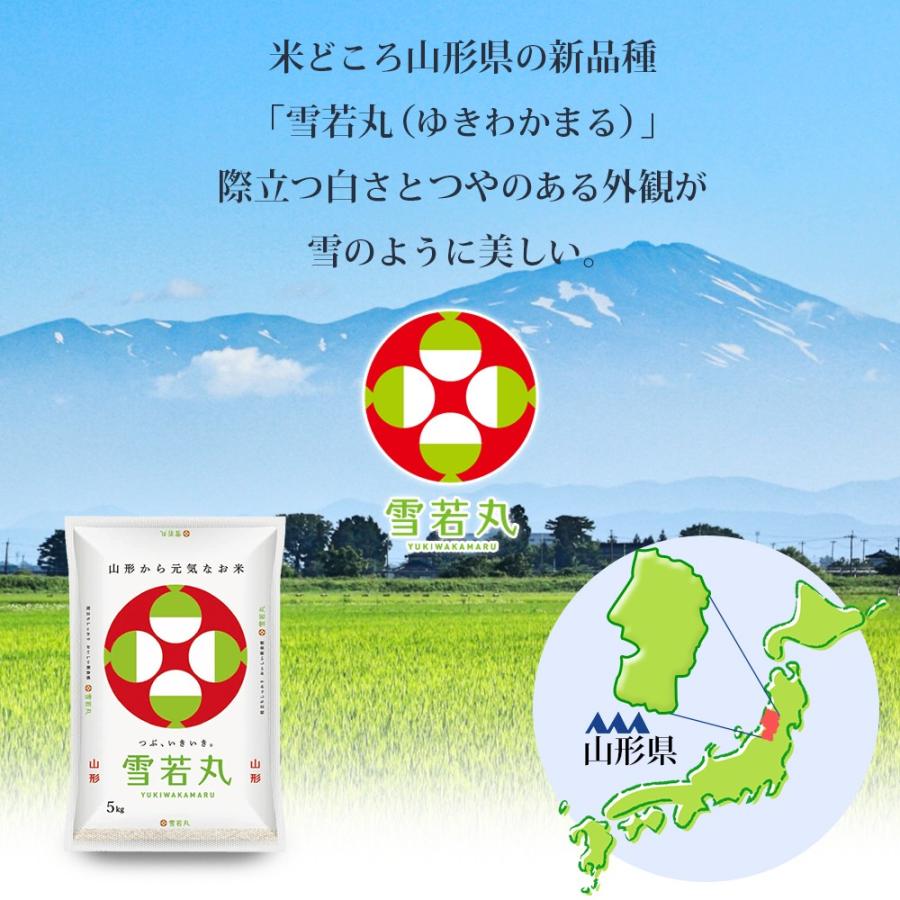 令和5年 雪若丸 山形 10kg (5kgX2袋) 山形県産 (玄米・白米・無洗米)精米方法選べます｜okomeabe｜05