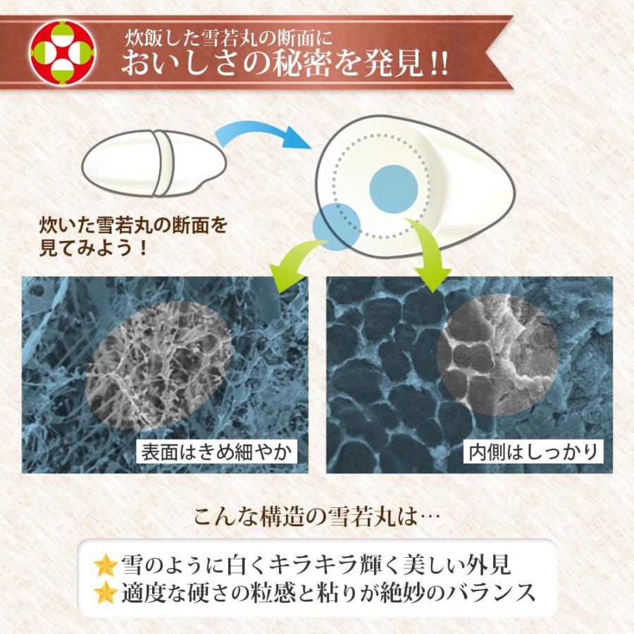 令和5年 雪若丸 山形 30kg 山形県産 (玄米・白米・無洗米)精米方法選べます (精米後約27kg)｜okomeabe｜06