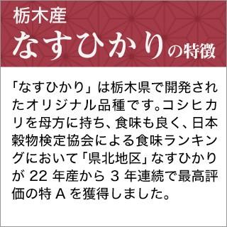 なすひかり 栃木産 300g(2合) × 3パック 真空パック【オコメール・白米