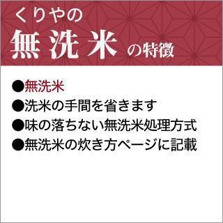 コシヒカリ お米 10kg 無洗米 送料無料 くりやの無洗米 滋賀県産 にじ
