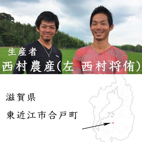 米 30kg 玄米 コシヒカリ 滋賀県東近江産 西村農産 令和7年産 環境こだわり農産物_7