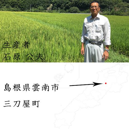 キヌヒカリ 米 30kg 玄米 きぬむすめ 島根県雲南産 石原公夫 令和7年産