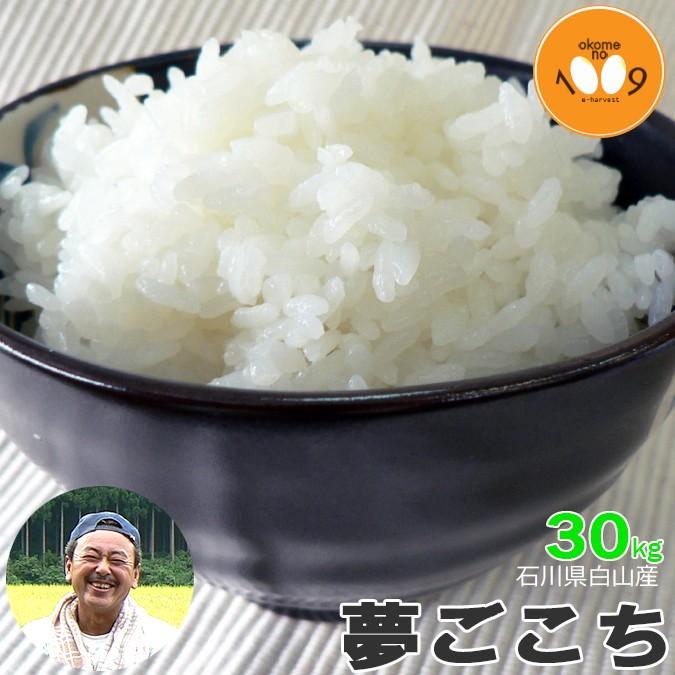 米 30kg 玄米 コシヒカリ 石川県白山産 吉左エ門 令和7年産