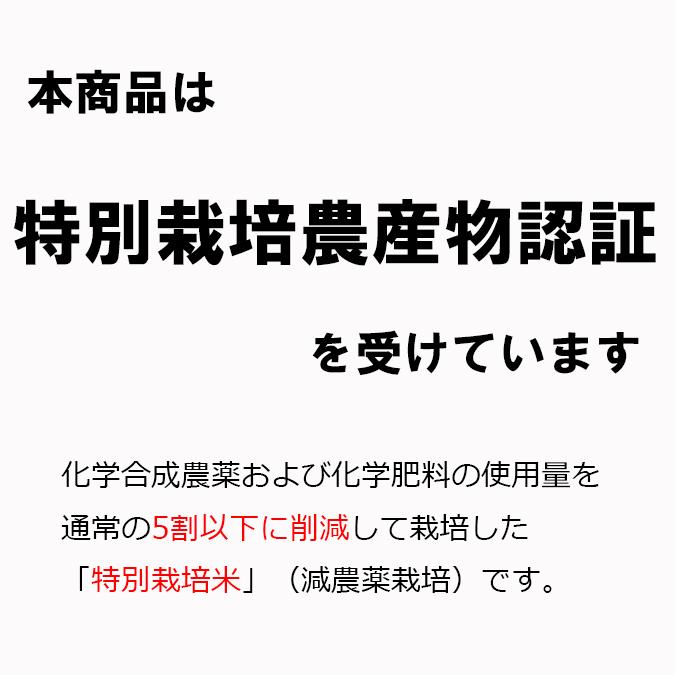 米 30kg 玄米 石川県白山産 夢ごこち 吉左エ門 令和5年産 特別栽培農産物｜okomeno1009｜09