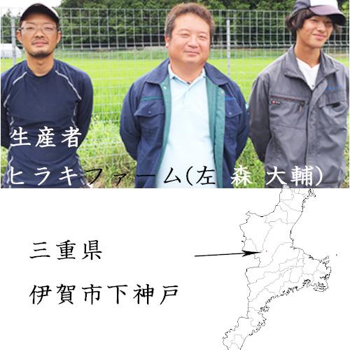 ミルキークイーン 米 30kg 玄米 三重県伊賀産 ヒラキファーム 令和7