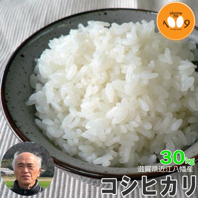 近江米 玄米 30kg 令和7年産 コシヒカリ 【公式通販】