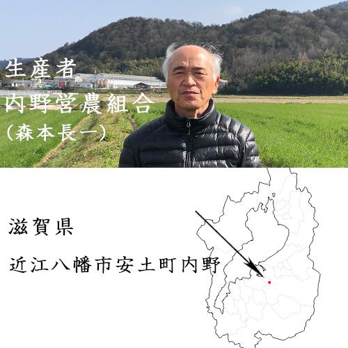 コシヒカリ 米 30kg 玄米 滋賀県近江八幡産 内野営農組合 令和7年産