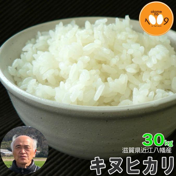 キヌヒカリ 新米 玄米 30kg 滋賀県近江八幡産 内野営農組合 令和 キヌヒカリ 新米 玄米 30kg 滋賀県近江八幡産 内野営農組合 令和