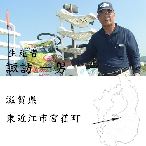 あんず..様 玄米 30kg あんず..様 玄米 30kg 楽天市場】玄米 30kg みずかがみの通販